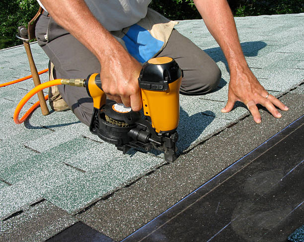 Best Roof Gutter Cleaning  in North Vacherie, LA