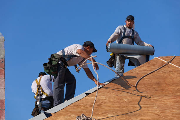 Best Roof Repair Services  in North Vacherie, LA
