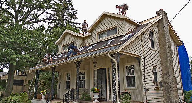 Best Roof Gutter Cleaning  in North Vacherie, LA