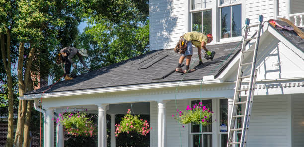 Roof Gutter Cleaning in North Vacherie, LA